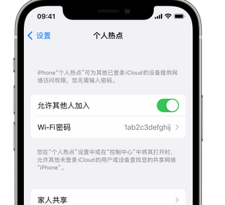 塔什库尔干apple服务站点分享iPhone上个人热点丢失了怎么办 