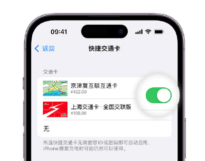 塔什库尔干apple维修点分享iPhone上更换Apple Pay快捷交通卡手绘卡面 