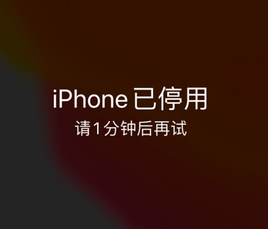 塔什库尔干苹果手机维修分享:iPhone 显示“不可用”或“已停用”怎么办？还能保留数据吗？ 