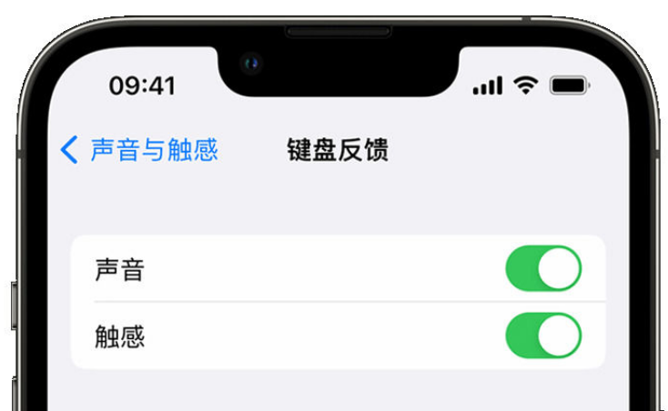 塔什库尔干苹果手机维修分享iPhone 14触感键盘使用方法 