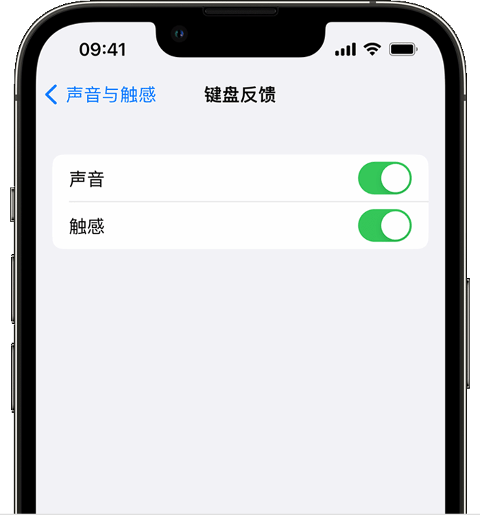 塔什库尔干苹果14维修店分享如何在 iPhone 14 机型中使用触感键盘 