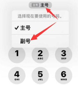 塔什库尔干苹果14维修店分享iPhone 14 Pro Max使用副卡打电话的方法 