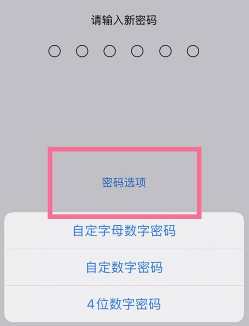 塔什库尔干苹果14维修分享iPhone 14plus设置密码的方法 