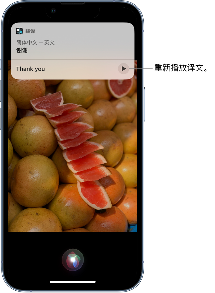 塔什库尔干苹果14维修分享 iPhone 14 机型中使用 Siri：了解 Siri 能帮你做什么 