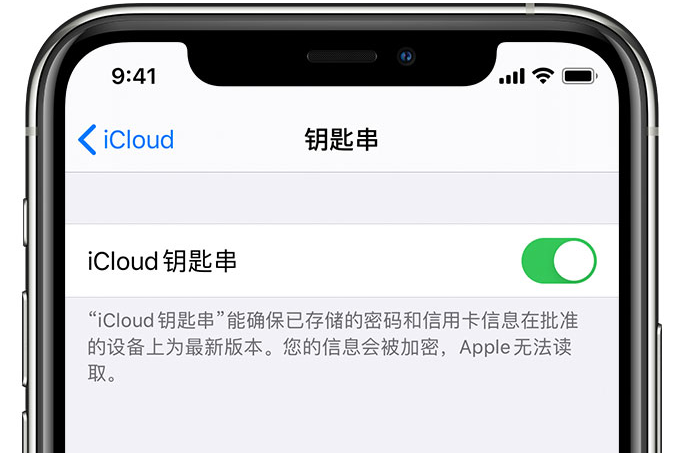 塔什库尔干苹果手机维修分享在 iPhone 上开启 iCloud 钥匙串之后会储存哪些信息 