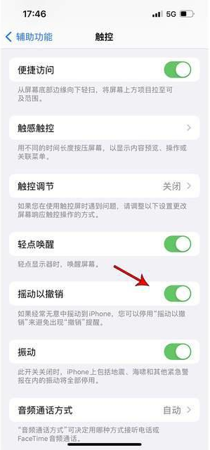 塔什库尔干苹果手机维修分享iPhone手机如何设置摇一摇删除文字 